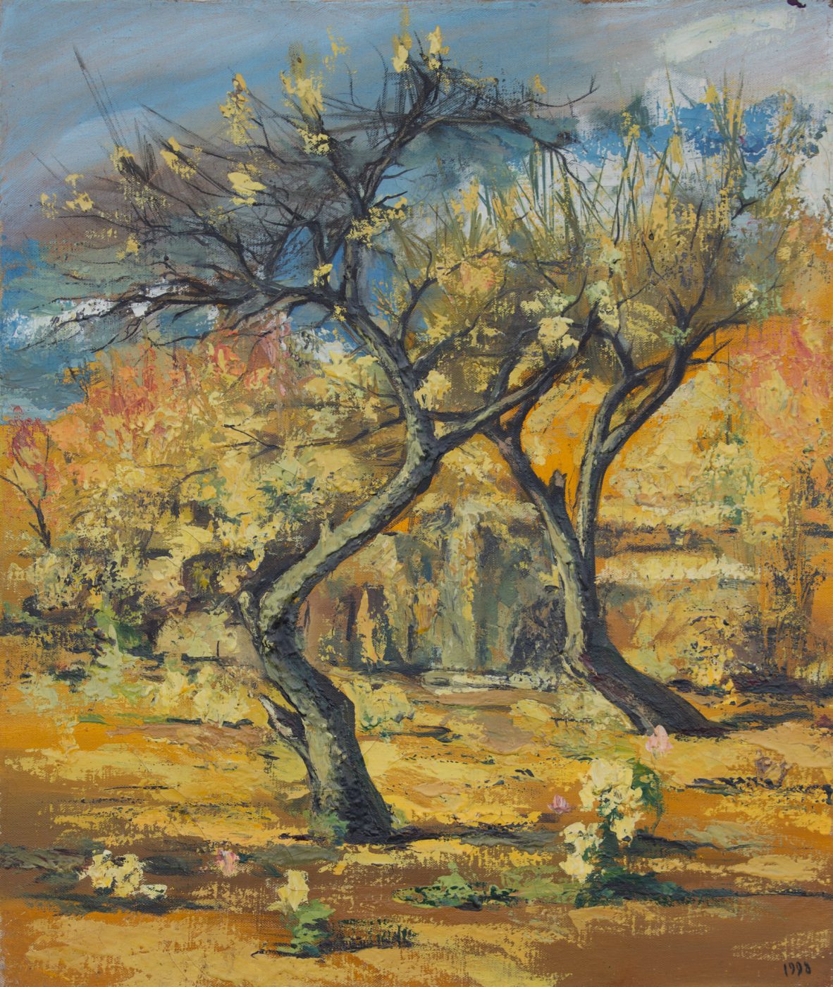 Apricot Trees