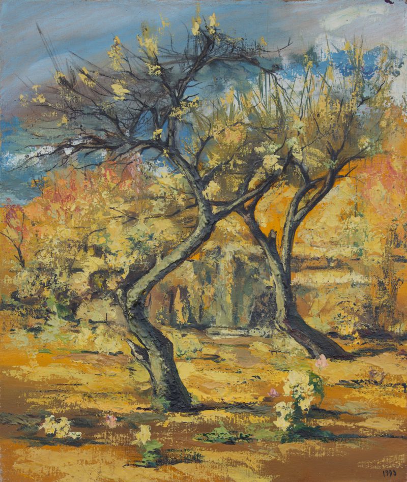 Apricot Trees